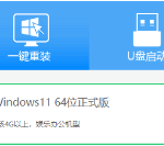 一键在线重装Win11系统视频教程