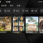 小苹果影视盒子 v1.5.7 TV电视端-路线多播放流畅