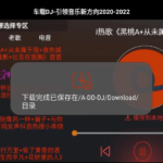 车载DJ v1.25 修复版