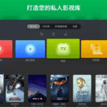 VidHub 安卓TV版 v1.1.10，搭建你的影视库
