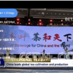 全球TV v8.0 可看全球各地的TV 电视盒子